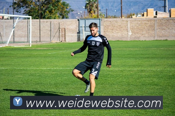 伟德体育平台生态图