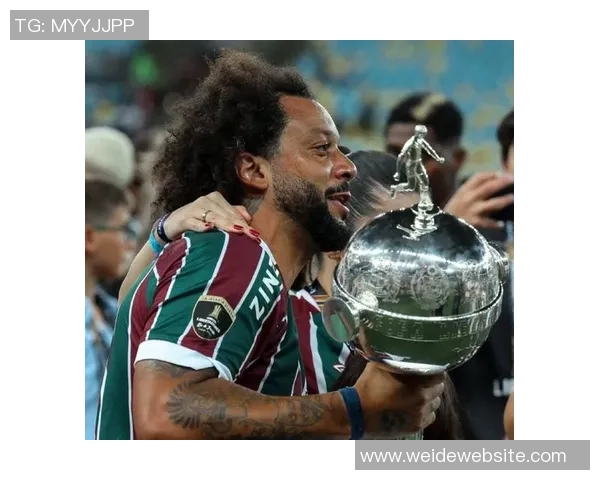 南美解放者杯决赛球队的巴西统治力近十年显著体现