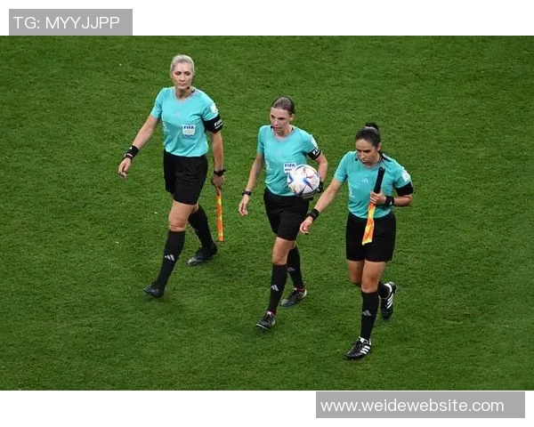 主裁判详解赫伯特琼斯被驱逐原因因其辱骂裁判行为持续不断